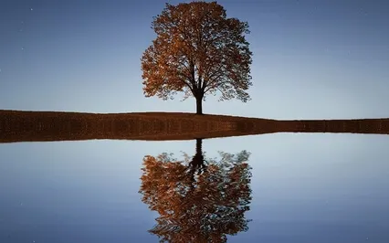 1 Hour Of Happy Uplifting Piano Music For Deep Sleep