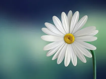 1 Hour Of Peaceful Relaxing Piano Music For Deep Sleep