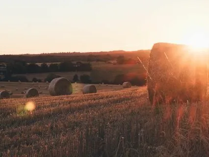 1-Hour Of Relaxing Koshi Chimes | On Location
