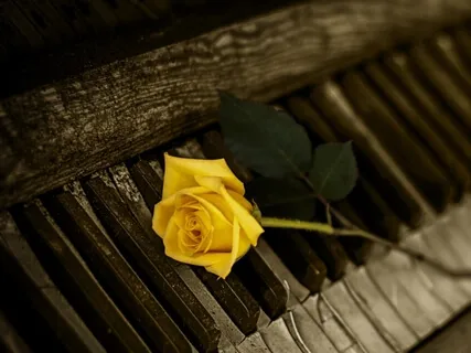 Gentle Soothing Relaxing Piano