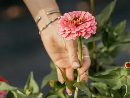 1 Hour Reiki For Regulation