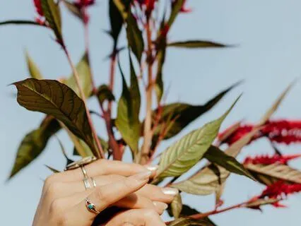 1 Hour Reiki For Wholeness