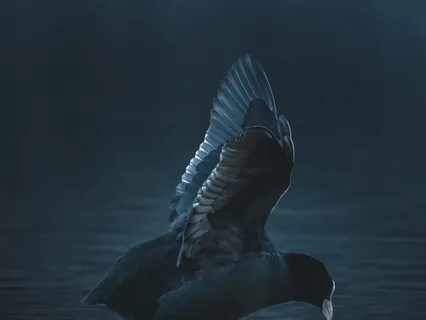 1-Hour Self Love & Positive Body Image Sleep Affirmations