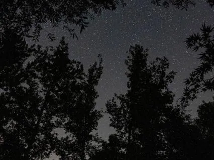 1 Hour Sleep Music: Deep Drones & Crickets For Fast Sleep