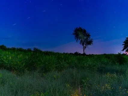 1 Hour Yoga Nidra With 963Hz Solfeggio Music For Deep Sleep