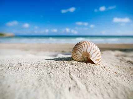 Maitry Limitless Friendship