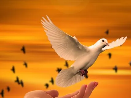 1 Min. Prayer Of Gratitude