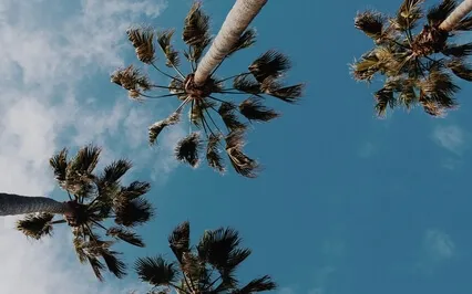 1 Minute Awareness Meditation 