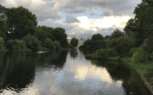 1 Minute Breath Work Session