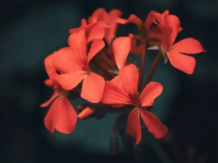 1 Minute Breathing Space