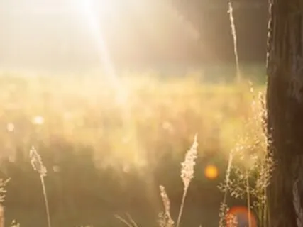 1-Minute Practice For Depression