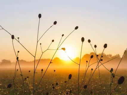 1 Minute To Refresh Yourself And Start Again