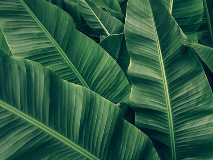 One Minute Guided Meditation