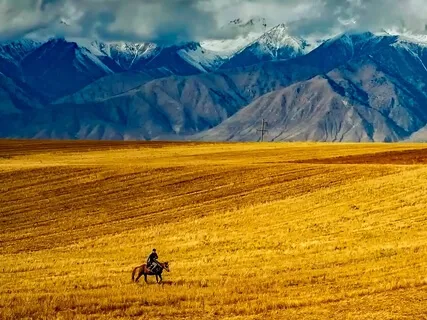 1-Minute Guided Mindfulness Meditation