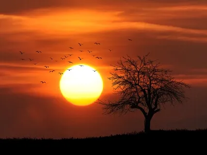 1-Minute Meditation: Center After An Upset