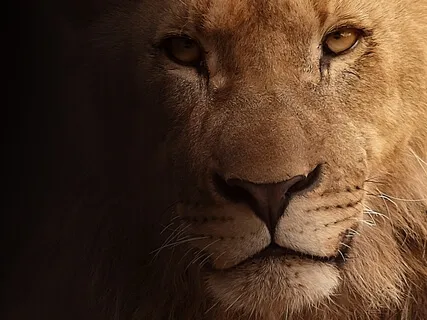 1-Minute Meditation: Gather Your Courage