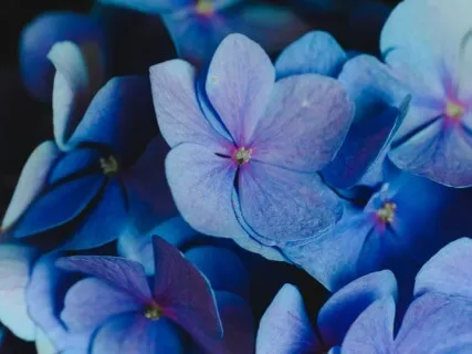 1-Minute Meditation: Honor Your Gifts & Talents