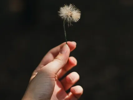 1-Minute Meditation: Let It Go