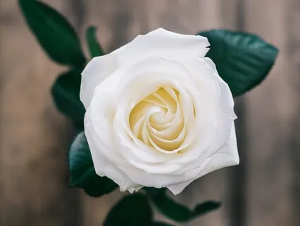 1-Minute Meditation: You Are Enough