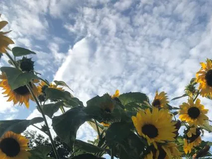 1 Minute Poem For Morning Calm And Connection