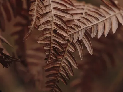 One-Minute Power Up Meetings