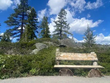 1-Minute Reset: Land Your Body, Soften Your Breath