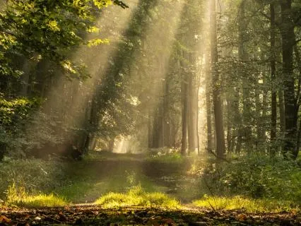 1-Minute Reset Meditation For Grounding