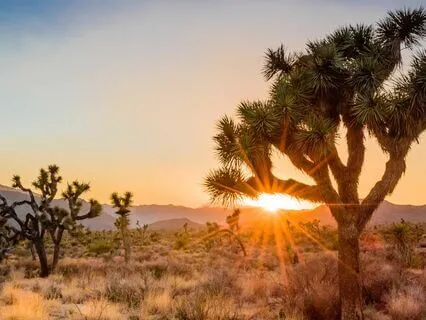 1-Minute Self-Worth Meditation: Boost Confidence