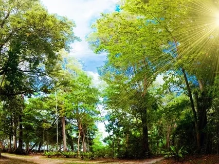 1-Minute Stress Relief