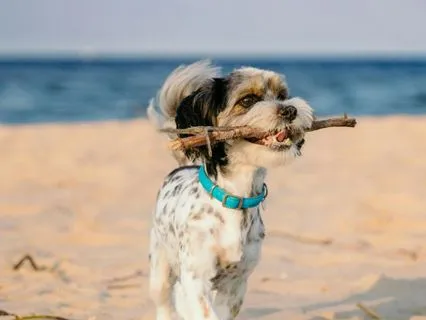 1 Minute To Visualize Your Perfect Day