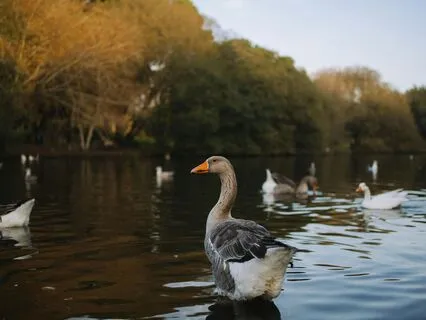 Number 1 Secret To Get What You Want