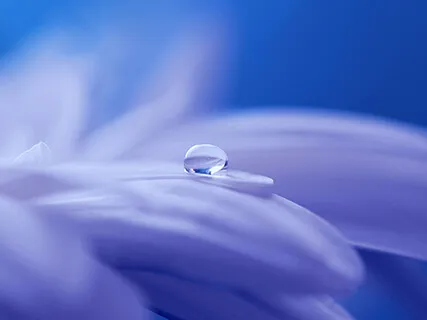 （1）曙斌呼吸法三要点