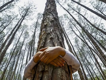 1/10 Introduction To The Work That Reconnects