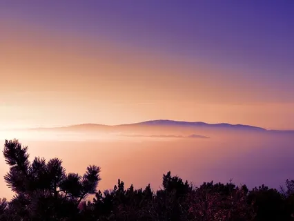 1/11 Portal Hapi Drum