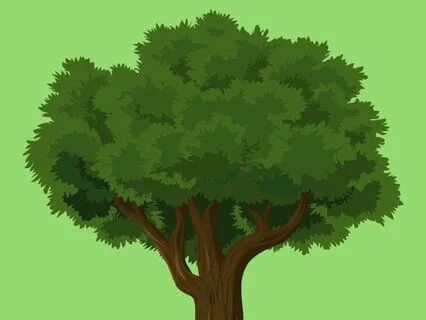 1 The Natural World Sleep Series - The Beginning Of Things