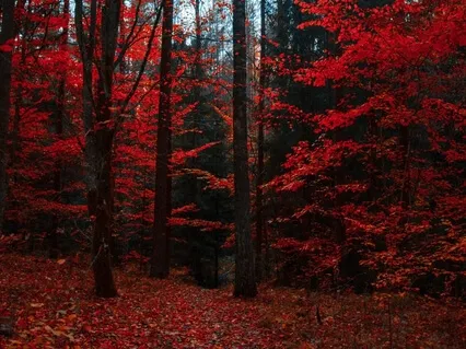 1 Up | A Musical Meditation On Numerology