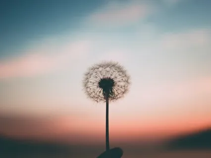 10분 닻 내리는 명상