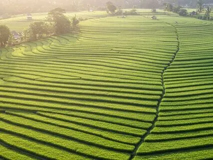 10,000 Breaths Of The Earth