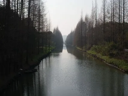 35|01 Replacement Soundscapes : Winter: Day