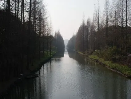 35|02 Replacement Soundscapes : Winter: Day