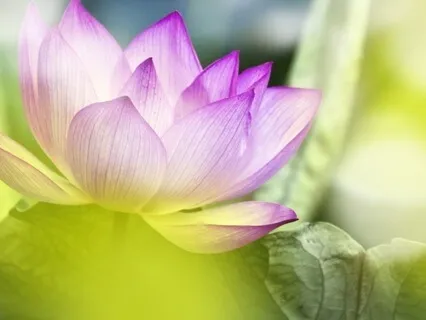 10 - 10 - 10 Method To Restore Calm