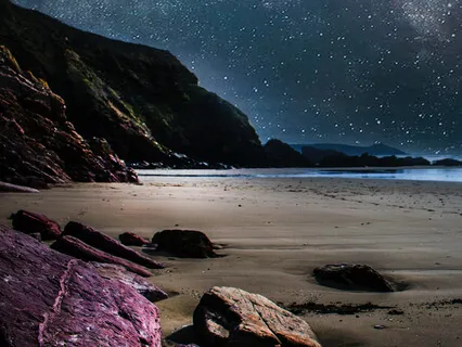 10: "Disintegration by Waltz" - Piano & Nature Sounds