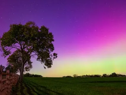 10 Hour Chakra Repair With Reiki For Deep Healing Sleep