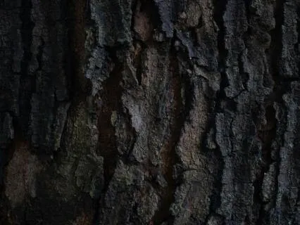 10-Hour Dark Umber Noise For Extended Deep Sleep