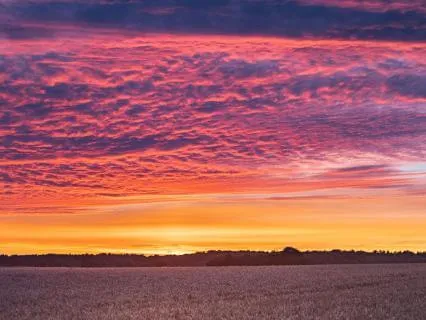 10-Hour Deep Sleep: The Nervous System Reset