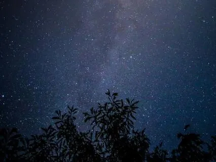 10-HOUR Summer Night Soundscape (Deep Sleep Meditation)