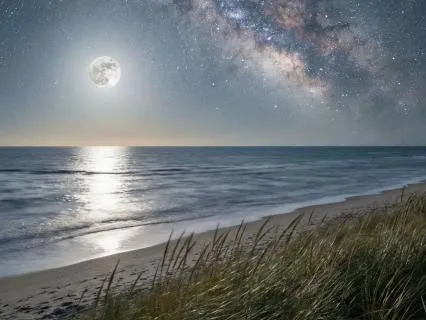 10 Hours of Ocean Waves & Crickets: All Night Sleep