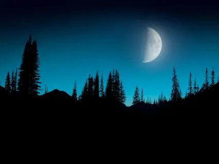 10 Hours of Pure Relaxation