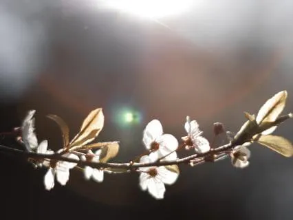 10 Hr All Night Sleep Music: Body Scan Relaxation