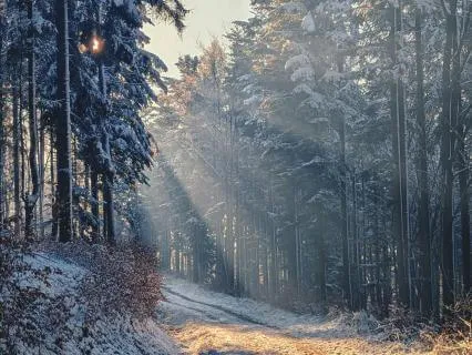 10 Hr All Night Sleep Music: White Light Yoga Nidra